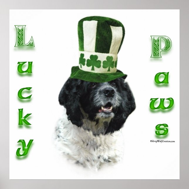 Cocker Spaniel Lucky Paws Poster (Front)