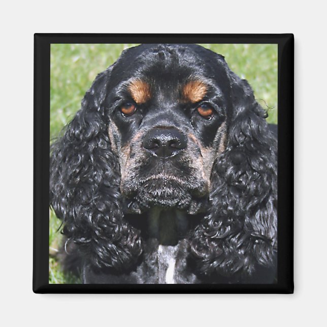 Cocker Spaniel Magnet (Front)