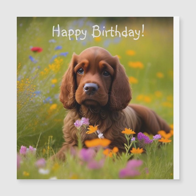 Cocker Spaniel Magnetic Card (Front)