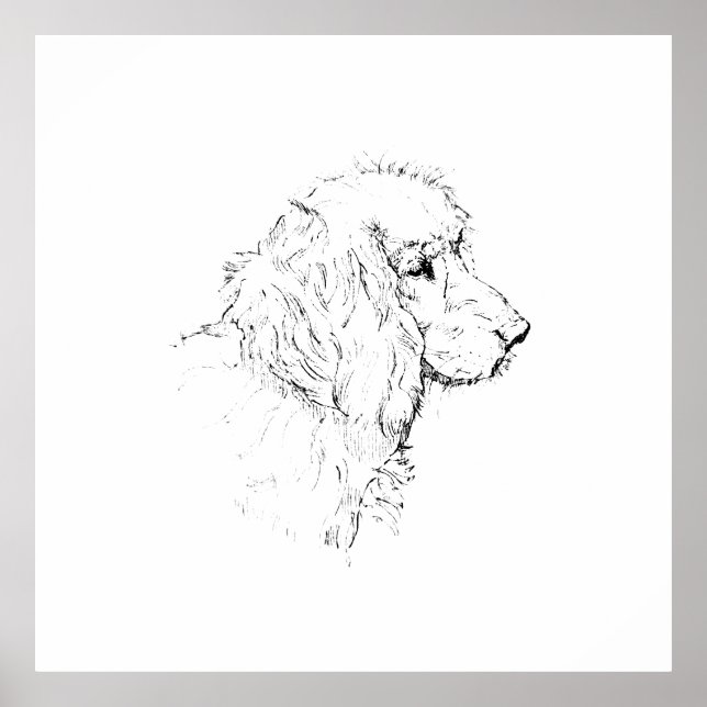 Cocker Spaniel – Minimalist Dog Line Drawing Poster (Front)