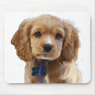 Cocker spaniel mouse pad