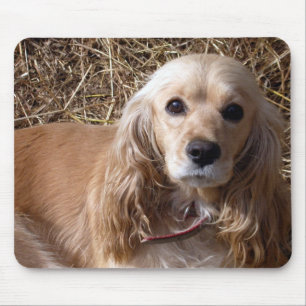 Cocker Spaniel Mouse Pad