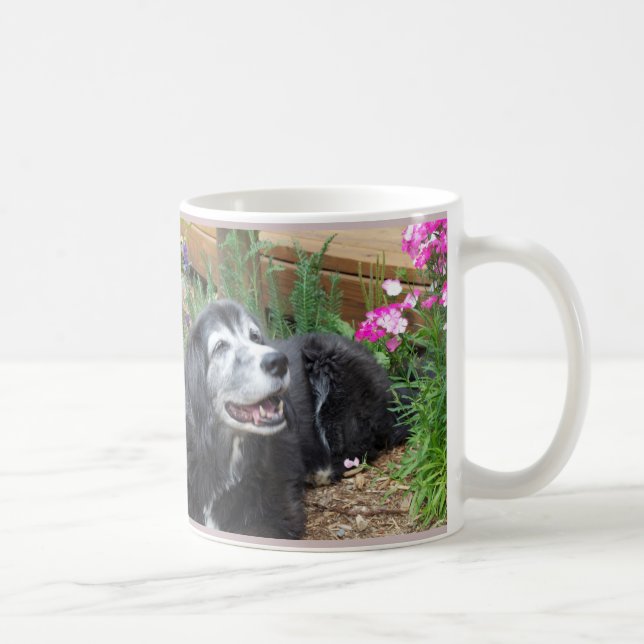 Cocker Spaniel Muffin Mug (Right)