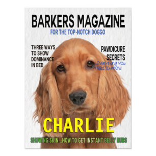 Cocker Spaniel Parody Magazine Cover Photo Print