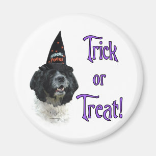 Cocker Spaniel (parti) Trick Magnet