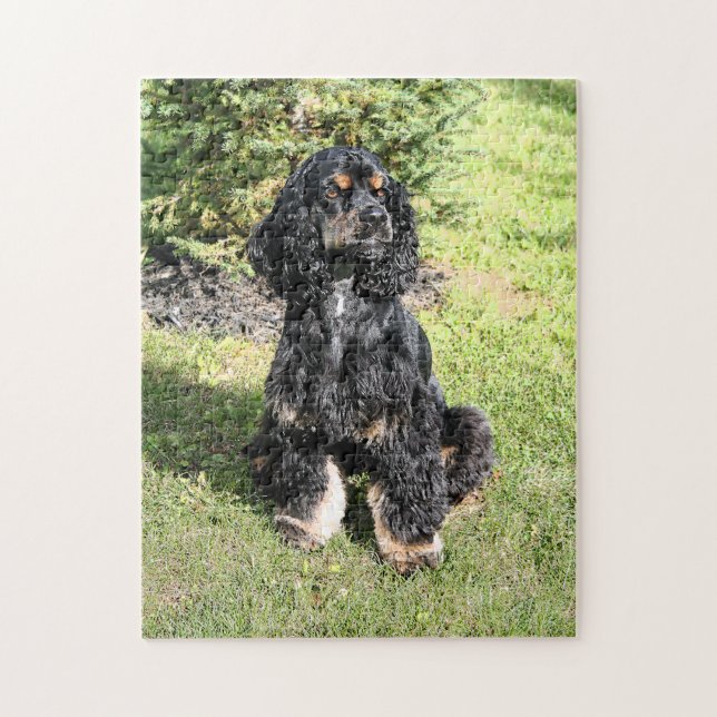 Cocker Spaniel Photo 2 Jigsaw Puzzle (Vertical)