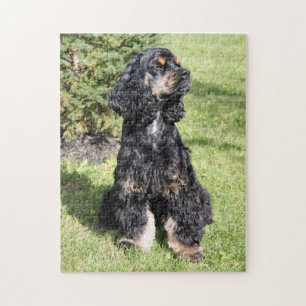 Cocker Spaniel Photo 3 Jigsaw Puzzle