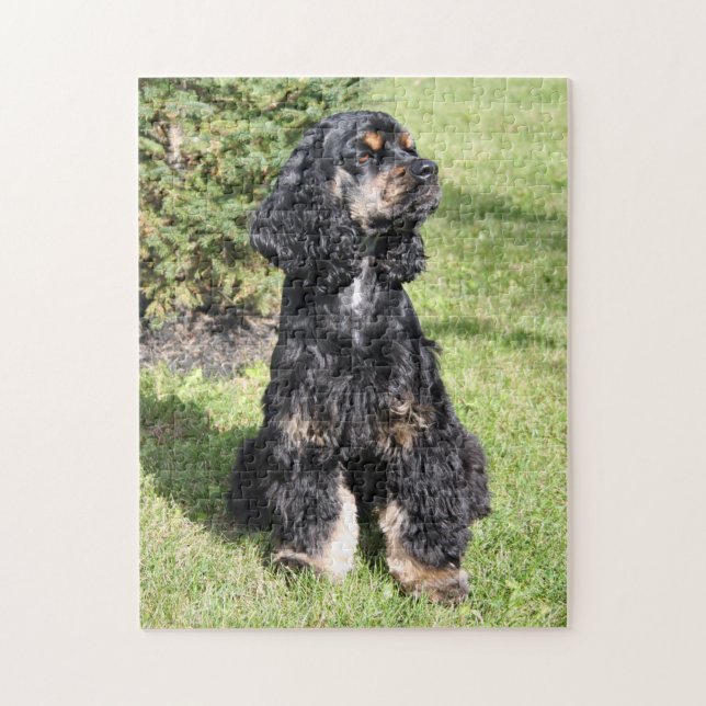 Cocker Spaniel Photo 3 Jigsaw Puzzle (Vertical)