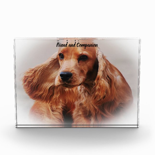 Cocker Spaniel. Photo Block (Front)