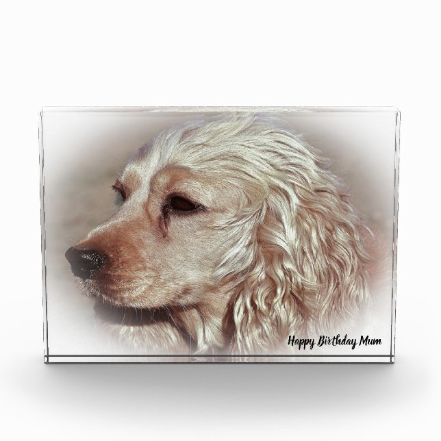 Cocker Spaniel. Photo Block (Front)