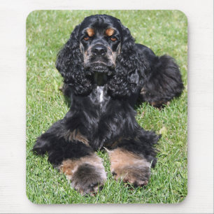 Cocker Spaniel Photo Mouse Pad