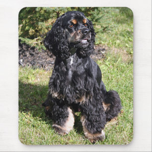 Cocker Spaniel Photo Mouse Pad