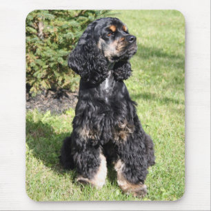 Cocker Spaniel Photo Mouse Pad