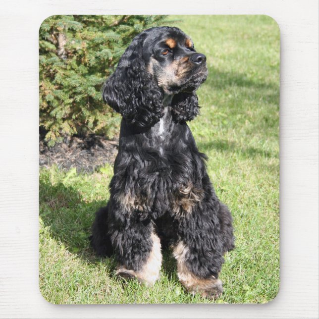 Cocker Spaniel Photo Mouse Pad (Front)