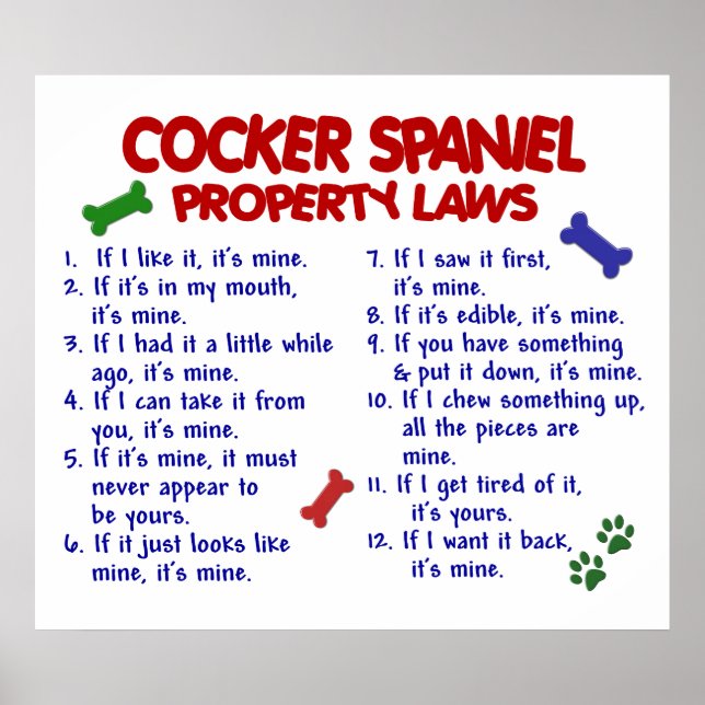COCKER SPANIEL PL2 POSTER (Front)