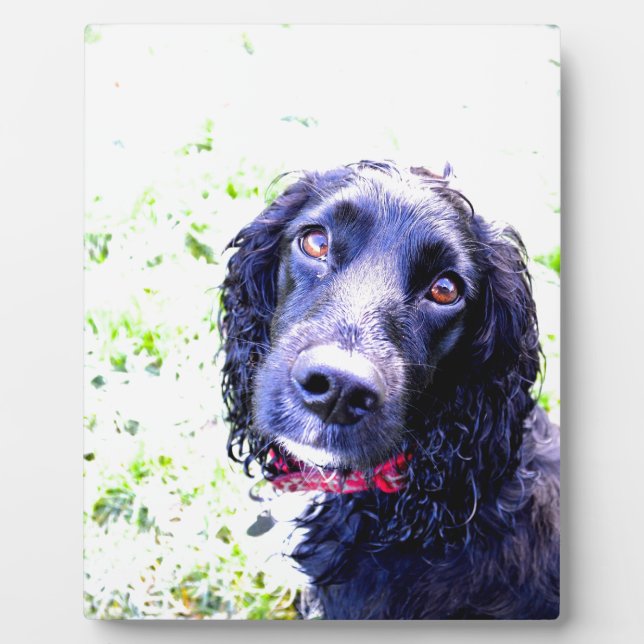 Cocker Spaniel Plaque (Front)