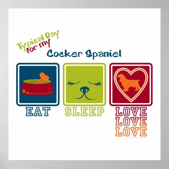 Cocker Spaniel Poster (Front)