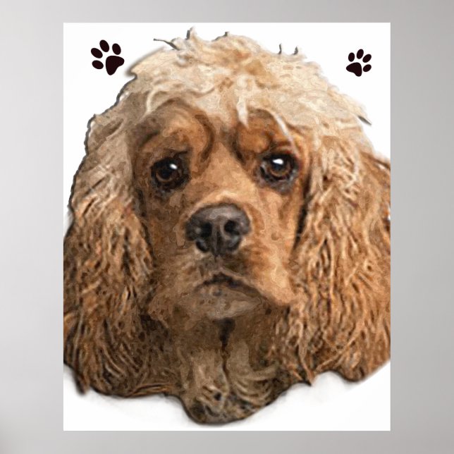  Cocker spaniel  Poster (Front)