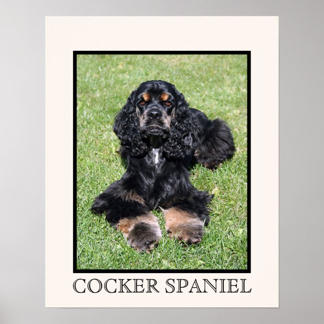 Cocker Spaniel Print (Front)