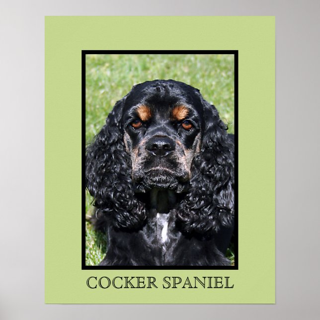 Cocker Spaniel Print (Front)