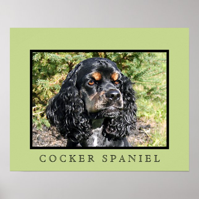 Cocker Spaniel Print (Front)