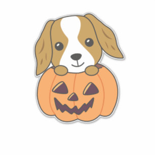 Cocker Spaniel Pumpkin Cute Dogs Happy Halloween