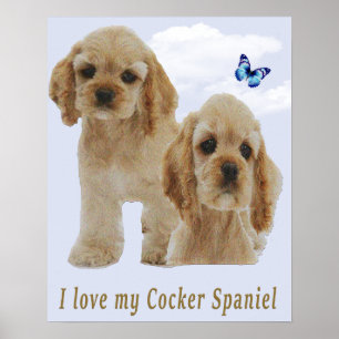 Cocker spaniel puppies poster