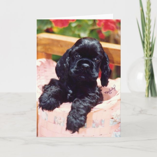 Cocker Spaniel puppy greeting card (Front)