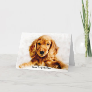 Cocker Spaniel Puppy Happy Birthday Card