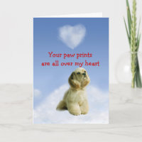 Cocker Spaniel Puppy Love Card