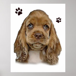 Cocker spaniel puppy poster