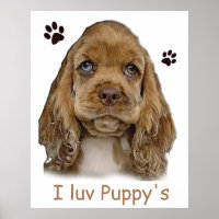 Cocker spaniel puppy poster