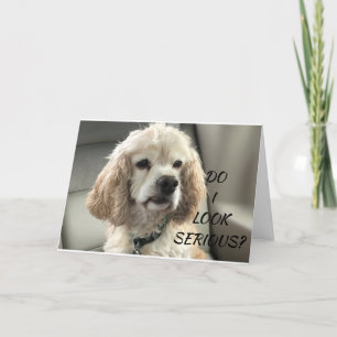 COCKER SPANIEL PUPPY WISHES U HAPPY BIRTHDAY CARD
