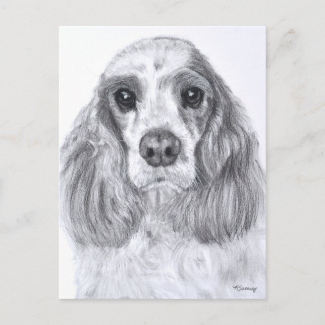 Cocker Spaniel Red White Art Postcard (Front)