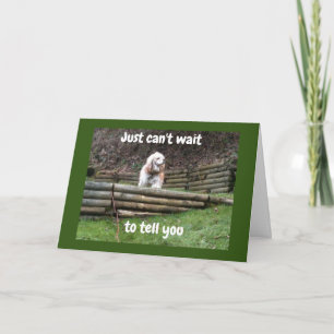 COCKER SPANIEL SAYS "HAVE BEST BIRTHDAY EVER" CARD