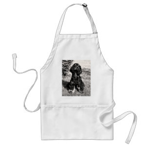 Cocker Spaniel Sketch Standard Apron