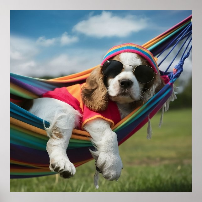 Cocker Spaniel Sleeping on a Hammock Poster (Front)
