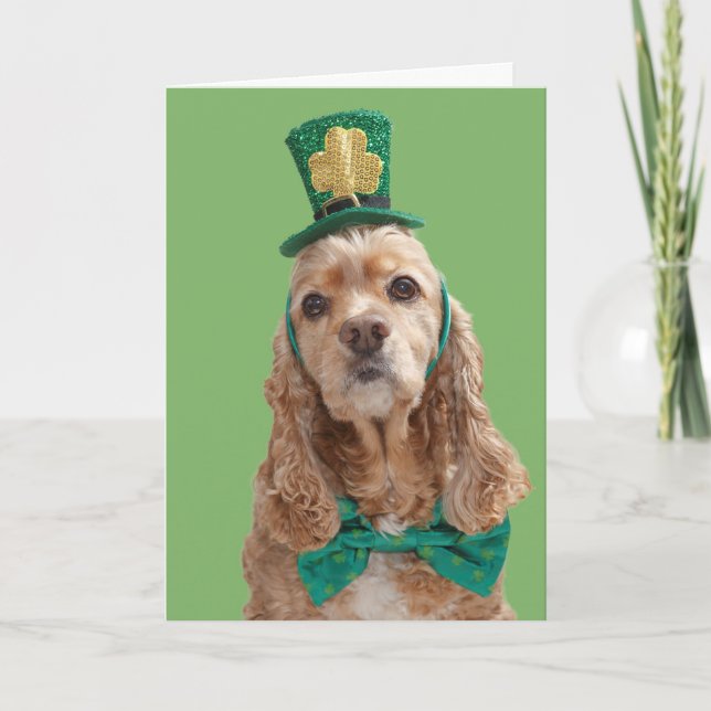 Cocker Spaniel St. Patrick's Day Greeting Card (Front)