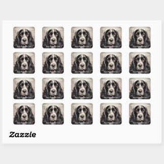 Cocker spaniel Sticker