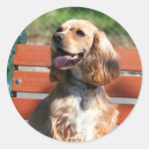Cocker Spaniel stickers