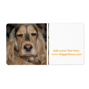 Cocker Spaniel Sushi