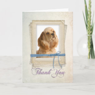 Cocker Spaniel Thank You Card
