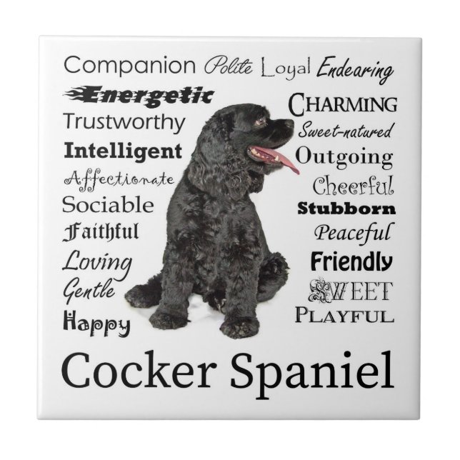Cocker Spaniel Tile (Front)