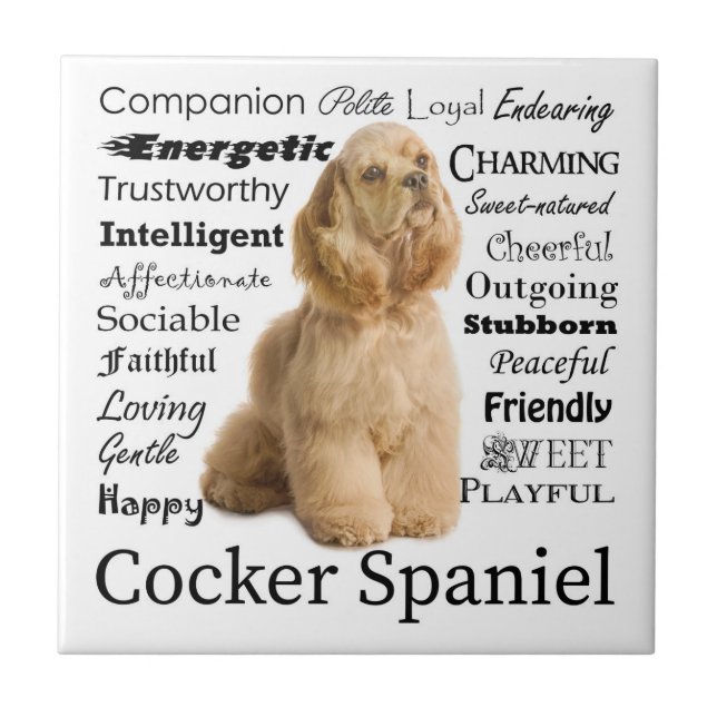 Cocker Spaniel Tile (Front)