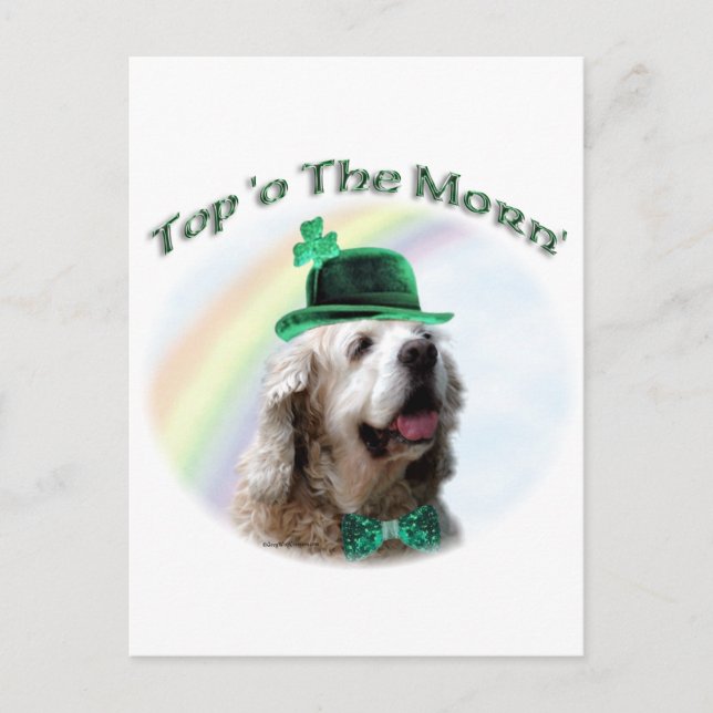 Cocker Spaniel Top of the Morn'; St. Patrick's day Postcard (Front)
