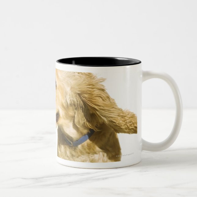 Cocker Spaniel Two-Tone Coffee Mug (Right)