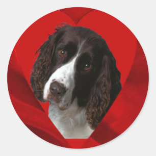 Cocker Spaniel Valentine Classic Round Sticker