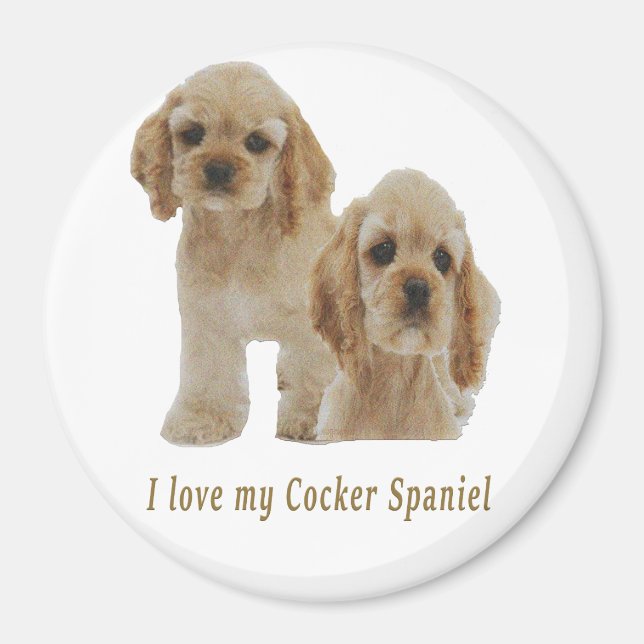 cocker spaniels magnet (Front)