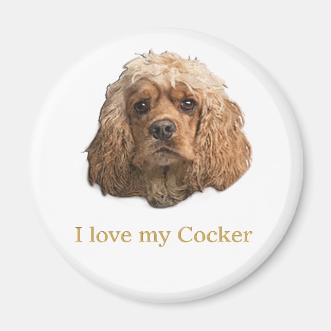 cocker Spaniels Magnet (Front)