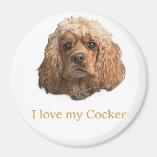 cocker Spaniels Magnet